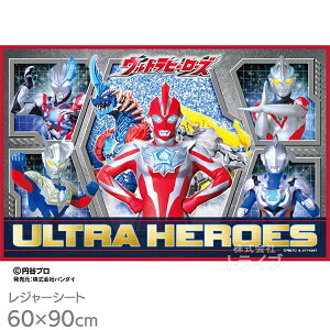 Eg} IK W[V[gS 90×60cm W[V[gS lR|XΉi 051246