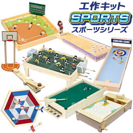 工作キット スポーツ 系 ラッピング不可 夏休み 冬休み 自由研究 宿題