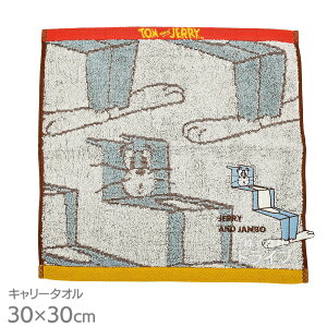 L[^I gƃWF[ bcg lR|XΉi 725797