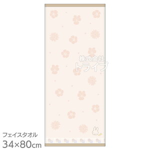 tFCX^I ~btB[ XEB[gK[f lR|XΉi 890396