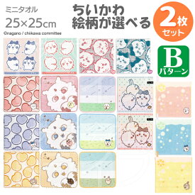 ちいかわ 選べる2枚セット【B】 タオルハンカチ25cm ネコポス対応品