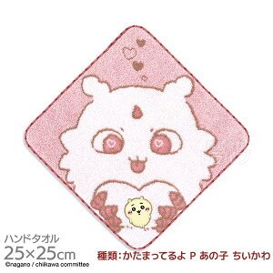 ^InJ` 25cm  ܂Ă P ̎q  [֑Ήi 393780