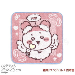 ^InJ` 25cm  GWF P Ö{ [֑Ήi 407944