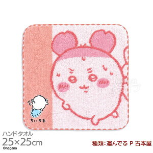 ^InJ` 25cm  ^ł P Ö{ [֑Ήi 407890