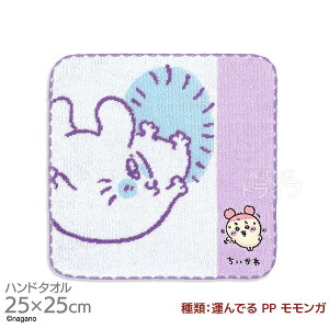 ^InJ` 25cm  ^ł PP K [֑Ήi 407906