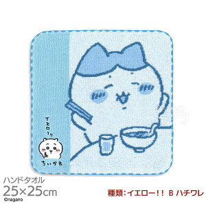 ^InJ` 25cm  CG[II B n` [֑Ήi 407876