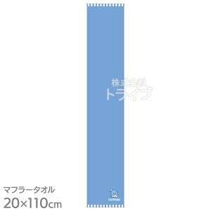 }t[^I |^I ^LV[hT Tu[ lR|XΉi 906691