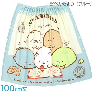 bv^I ^I ݂R炵 ׂ񂫂傤 100cm u[ 201613