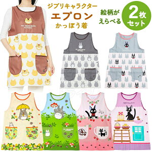 Wu LN^[ Gv GIׂ 2Zbg lR|XΉi