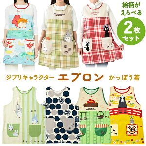 Wu LN^[ Gv GIׂ 2Zbg lR|XΉi