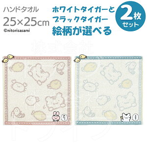 Iׂ2Zbg ^InJ`25cm zCg^CK[ƃubN^CK[ lR|XΉi