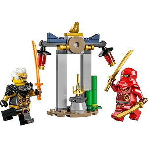 �j���W���S�[ �J�C�ƃ��v�g���̃o�g�� 30650 Ninjago Kai and Rapton's Temple Battle
