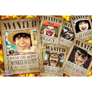 Netflix���ʁwONE PIECE�x WANTED POSTER 50×75cm �W�O�\�[�p�Y�� 1000�s�[�X JIGSAW PUZZLE 1000-593