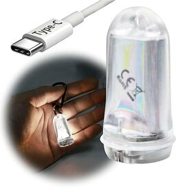 GD3 ミニ LEDライト 超軽量 11.7g USB充電式 EDC 高輝度 ミニ 懐中電灯 IPX7防水 3モード 250ルーメン