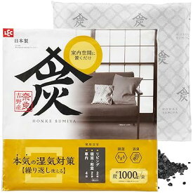 買い替え不要 除湿剤 + 消臭 本家炭屋 スクエアタイプ L 1000g / 奈良吉野産/本気の湿気対策/ダ