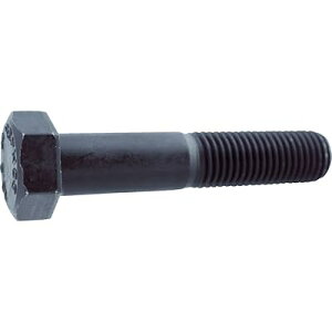(�g���X�R) 10.9���˂��Z�p�{���g M6×45 30�{�� Y111-0645