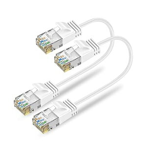 Cat6A LAN�P�[�u�� �Z�������P�[�u�� 0.3m 5�{�Z�b�g RJ45�R�l�N�^ 10Gbps �T�[�o�[ ��Ɨl���� �L��