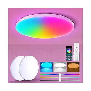 LED�V�[�����O���C�g RGB 2�Z�b�g 6�� 3600lm �������F ��铔 led �Ɩ� �V�� RGB���͋C���C�g �d