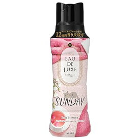 Lenor オードリュクス 香り付け専用ビーズ マインドフルネスシリーズ サンデー 本体 520mL
