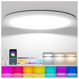 LEDシーリングライト 10畳 5200lm 45W 間接光RGBカラー おしゃれ 調光調色 極薄型 雰囲気ライト 天