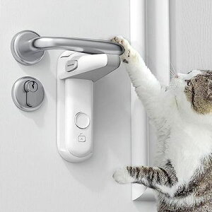 hAbN Ԃ hAmubN `ChbN t qSbN h~ L Eh~  Eߏ hAJh~ xr[K[h (zCg, 1)