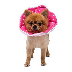 WZ PET _炩 GUxXJ[ Lp ^p p㏝ی rߖh~ ~h~ \ y ʋC  (S (20`23cm) sNj