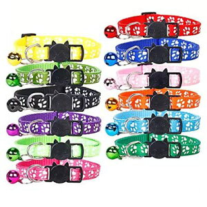 LIKENNY L Lp lR     ԃtN^[t t  \ y ybg z Vv y ybgp(12F̃X[c)