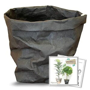 lapset Jo[ ϗtA  k  VRf U[ Ntg 4 ubN STCY