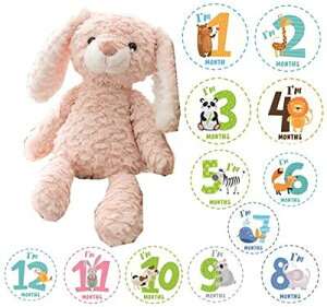 JP-SAKURAyKiz BeZbgt t@[XggC  { ʂ }Cxr[Xg v[g (sN )