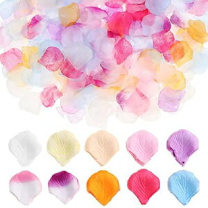 TOYMYTOY  2000 10F  t[V[  ỏԂт v|[Y   EGfBO 2 a j p[eB[   A[eBtBVt[ t[ 