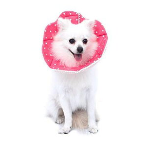 WZ PET _炩 GUxXJ[ Lp ^p p㏝ی rߖh~ ~h~ \ y ʋC  (M (23`26cm) sNj
