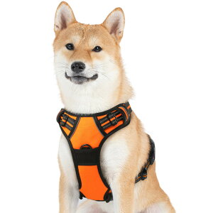 Rabbitgoo  n[lX ^  20-32KG h~ TCY\ Ԕˍ Ȃ ʋC Pݖh~ s⏕n[lX V pi U p \tg  ^ ^ Č