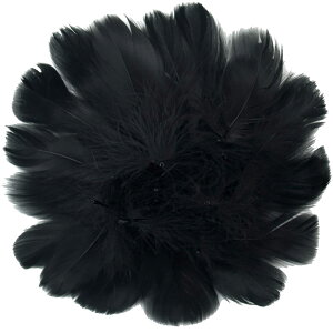 Doyeemei HV[ tFU[V[ H Ղ 200 H Ղ 200 tFU[ EFfBO  a Cxg p[eB[ |ޗ DIY ubN