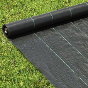 iimono117 hV[g V[g |pV[g ϋvN3N |p  _ Gʐ  Y K[fjO ԏ ƒ؉ (1m×50m)