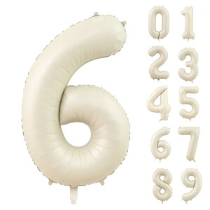 Lausatek o[ A~D 6 io[ 40C` 傫 a nbs[o[Xf[ t EFfBO LO p[eB[  90cm ݃zCg