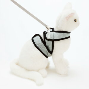 yeBI (Petio) Lpn[lX Anycatn[lX Vv O[ Lp M TCY