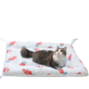 Bidason ybg NbV xbh lRt YȂ P[Wp\ o[Vu ӂӂ _炩 g  XNGA^ }bg ybgp\t@[ ۉzc  L ʔN 􂦂