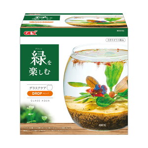 GEX AQUARIUM OXANA hbv-N ANAE ^  eE