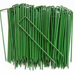 lH s 100{Zbg Niesporek hV[g Œs us s ϋvU^s }`15cmtbN^_Ɨplbgi100{sj