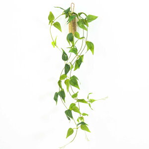 WillingYou tFCNO[ ݂艺 ԕrt Ǌ|lHA lHϗtA֑} S70cm