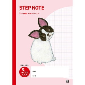 TNNpX wK Ē×SfUC 5mm t`uhbO 10 NG501(10)