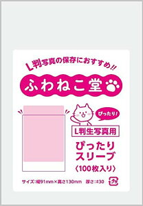 ӂ˂ L ʐ^p ҂X[u Opp (100)