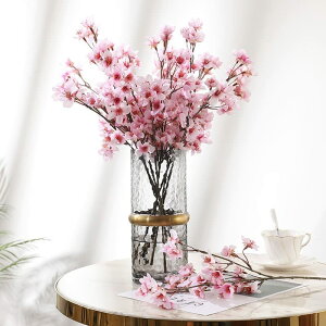 siawadeky   6{Zbg  t̉  VN ̉ ͂Ȃ ԑ lHϗtA t[AWg ʐ^Be JXj a    40cm/{