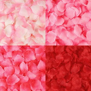 o Ԃт 2000  [Y KN sNn u[n F  t[V[ v|[Y//a/j/p[eB[/BeȂǗp   (sNn)