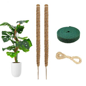 LIKENNY 園芸 植物支柱 2本セット 約60CM 観葉植物モンステラ ガーデニング支柱 水分 養分維持 サポート 園芸用 農業用 (麻縄/マジックテープ付属)