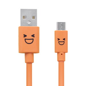 NAGR }CNUSBP[u microUSB }[dΉ [ȕ\̊炪킢] ]E[d 2Ao 1.2m IW MPA-FAMB2U12CDR
