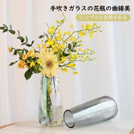 花瓶 Lewondr 花びん おしゃれ がびん ガラス 花活け フラワーベース ガラス容器 吹きガラス ガラスベース ガーデニング 水栽培 テラリウム容器 生け花 ヒヤシンス 花束 一輪挿し 花器 インテリア飾り 置物 贈り物 玄関、書斎、部屋、窓辺に 母の日 誕生日 プレゼント