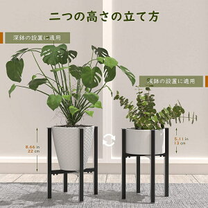 Lewondr t[X^h K[fjO I ԑ 23cm~35cm ߉\ 100kg׏dΉ ACA |bN 둢 | Aؔu CeA O v^[bN g 