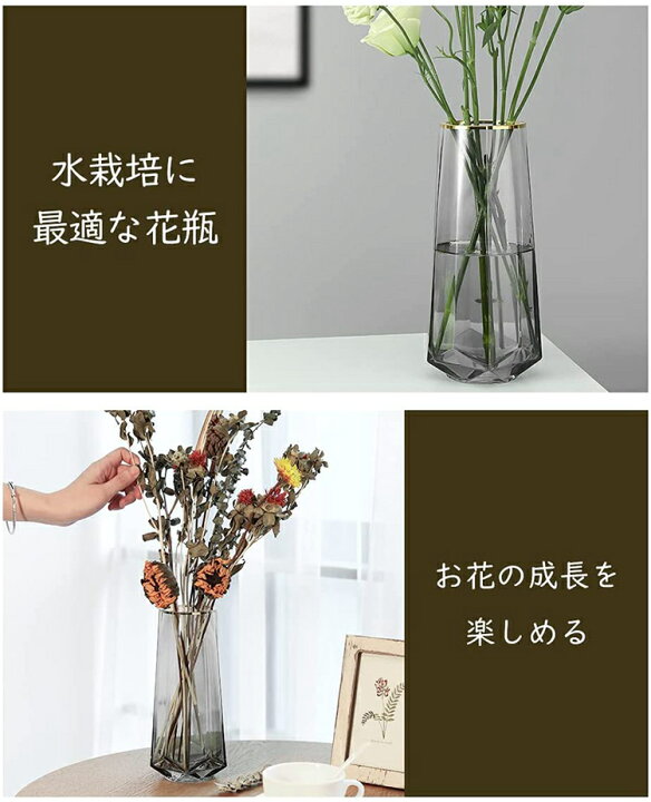 楽天市場 花瓶 花びん 高さ22cm がびん ガラス製 花活け フラワーベース ガラス容器 水栽培 テラリウム容器 生け花 ヒヤシンス 花束 一輪挿し 花器 インテリア飾り 置物 贈り物 玄関 書斎 部屋 窓辺 母の日 誕生日 プレゼント Thtech