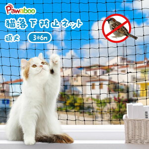 yV1ʁlbg L Eh~ lbg  Pawaboo Eh~ L x_ lbg E΍ h~ tFX ybgpԌ 悯lbg XeX  ڍ30mm ]h~ ƒ؉ 